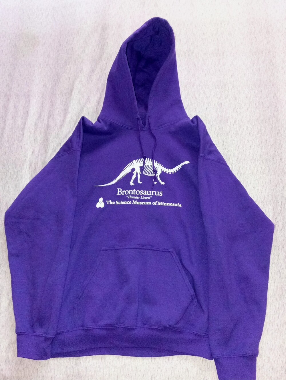 Science Museum Of Minnesota (Stranger Things) Hoodie Size Large